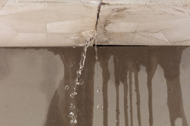 Professional Water Damage Repair technician working in Flat Rock, NC